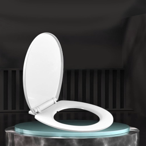 Seat Cover & Flush Tank